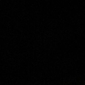 Meet your Posher, Hollie